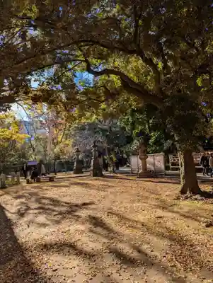 赤坂氷川神社(東京都)