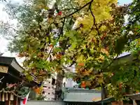 鳩ヶ谷氷川神社のその他建物