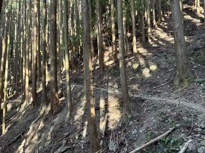 太龍寺(徳島県)