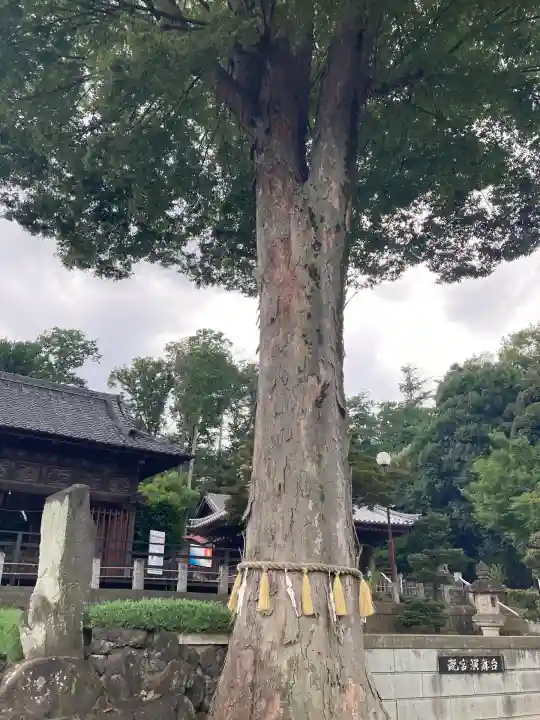 瀧宮神社(埼玉県)