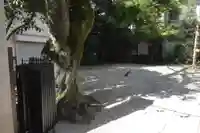 東神社(東京都)