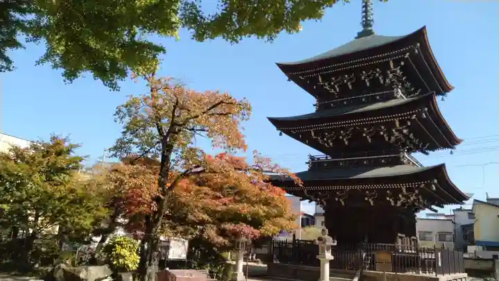 飛騨国分寺(岐阜県)
