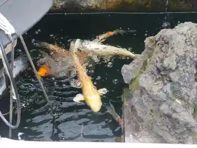 利田神社の{uncategorized: "未分類", other: "その他", undefined: "問題あり", building: "その他建物", grave: "お墓", sacred_gate: "鳥居", guardian: "狛犬", statue: "像", buddha: "仏像", history: "歴史", nature: "自然", garden: "庭園", animal: "動物", pagoda: "塔", temizu: "手水舎", mountain_gate: "山門・神門", sanctuary: "本殿・本堂", subordinate: "末社・摂社", art: "芸術", scenery: "景色", jizo: "地蔵", ema: "絵馬", goshuin: "御朱印", omikuji: "おみくじ", items: "授与品その他", amulet: "お守り", goshuincho: "御朱印帳", eats: "食事", festival: "お祭り", votive_dance: "神楽", shichigosan: "七五三参", wedding: "結婚式", experience: "体験その他", initially: "初詣", around: "周辺", anti_infection: "感染症対策"}