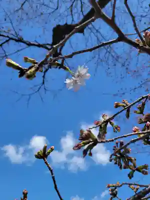 長源寺(福井県)