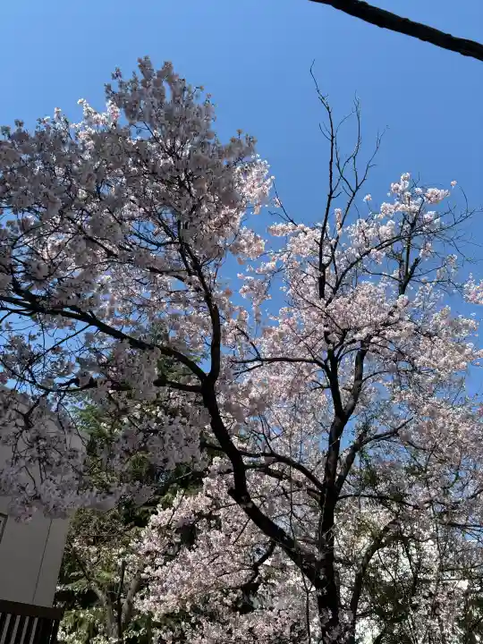 花園神社の{uncategorized: "未分類", other: "その他", undefined: "問題あり", building: "その他建物", grave: "お墓", sacred_gate: "鳥居", guardian: "狛犬", statue: "像", buddha: "仏像", history: "歴史", nature: "自然", garden: "庭園", animal: "動物", pagoda: "塔", temizu: "手水舎", mountain_gate: "山門・神門", sanctuary: "本殿・本堂", subordinate: "末社・摂社", art: "芸術", scenery: "景色", jizo: "地蔵", ema: "絵馬", goshuin: "御朱印", omikuji: "おみくじ", items: "授与品その他", amulet: "お守り", goshuincho: "御朱印帳", eats: "食事", festival: "お祭り", votive_dance: "神楽", shichigosan: "七五三参", wedding: "結婚式", experience: "体験その他", initially: "初詣", around: "周辺", anti_infection: "感染症対策"}