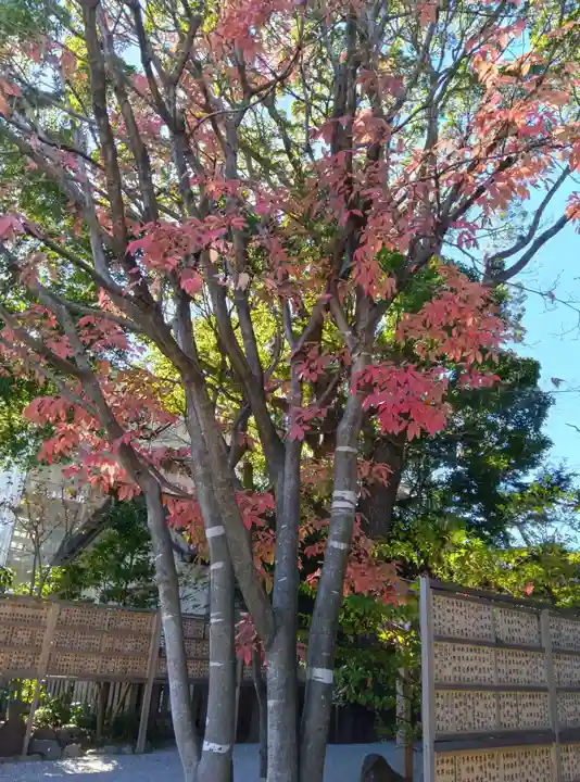 伊勢山皇大神宮(神奈川県)