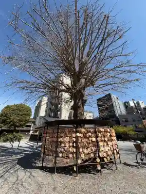 今戸神社の{uncategorized: "未分類", other: "その他", undefined: "問題あり", building: "その他建物", grave: "お墓", sacred_gate: "鳥居", guardian: "狛犬", statue: "像", buddha: "仏像", history: "歴史", nature: "自然", garden: "庭園", animal: "動物", pagoda: "塔", temizu: "手水舎", mountain_gate: "山門・神門", sanctuary: "本殿・本堂", subordinate: "末社・摂社", art: "芸術", scenery: "景色", jizo: "地蔵", ema: "絵馬", goshuin: "御朱印", omikuji: "おみくじ", items: "授与品その他", amulet: "お守り", goshuincho: "御朱印帳", eats: "食事", festival: "お祭り", votive_dance: "神楽", shichigosan: "七五三参", wedding: "結婚式", experience: "体験その他", initially: "初詣", around: "周辺", anti_infection: "感染症対策"}