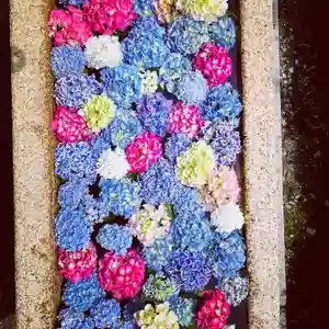 伊勢の国 四天王寺の手水舎(2021年05月26日(水) 10時25分19秒投稿)