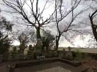 宗圓寺(埼玉県)