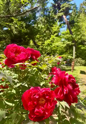蚊里田八幡宮(長野県)
