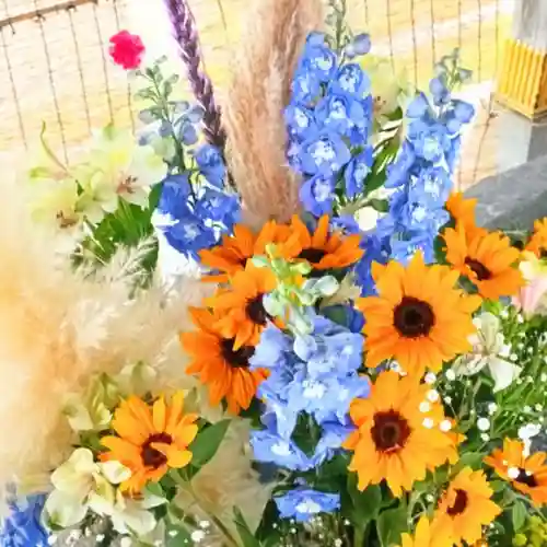 彌彦神社　(伊夜日子神社)の手水舎