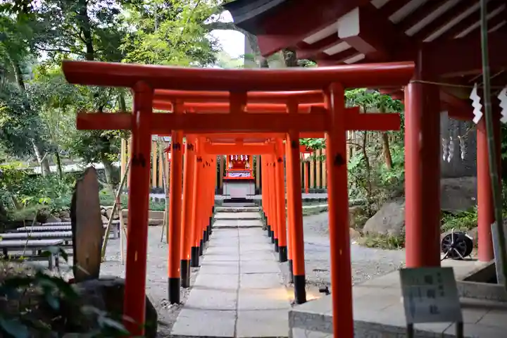 來宮神社(静岡県)