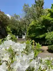 誉田八幡宮の自然