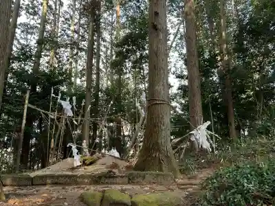 能義神社の{uncategorized: "未分類", other: "その他", undefined: "問題あり", building: "その他建物", grave: "お墓", sacred_gate: "鳥居", guardian: "狛犬", statue: "像", buddha: "仏像", history: "歴史", nature: "自然", garden: "庭園", animal: "動物", pagoda: "塔", temizu: "手水舎", mountain_gate: "山門・神門", sanctuary: "本殿・本堂", subordinate: "末社・摂社", art: "芸術", scenery: "景色", jizo: "地蔵", ema: "絵馬", goshuin: "御朱印", omikuji: "おみくじ", items: "授与品その他", amulet: "お守り", goshuincho: "御朱印帳", eats: "食事", festival: "お祭り", votive_dance: "神楽", shichigosan: "七五三参", wedding: "結婚式", experience: "体験その他", initially: "初詣", around: "周辺", anti_infection: "感染症対策"}