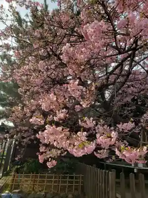新宿下落合氷川神社(東京都)