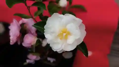 阿邪訶根神社(福島県)