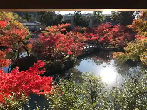 禅林寺（永観堂）の庭園