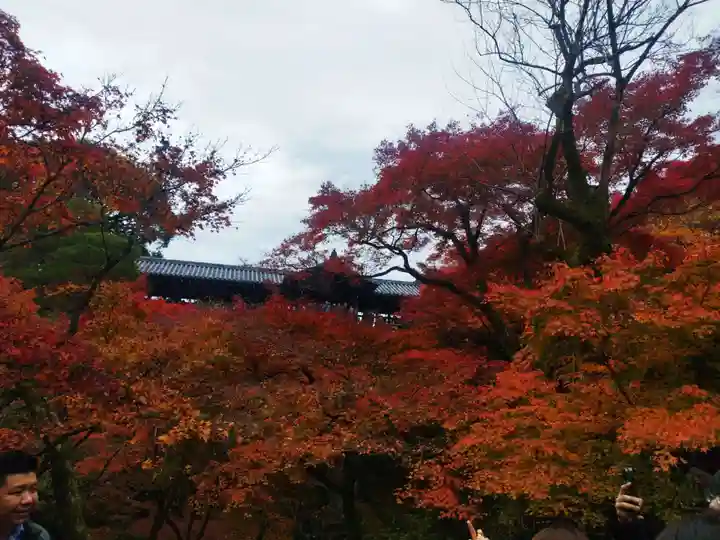 東福禅寺(東福寺)(京都府)