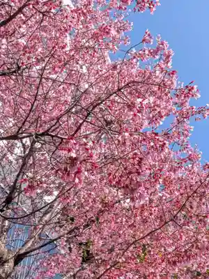 赤坂氷川神社(東京都)