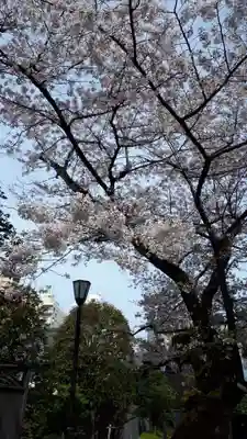 根津神社(東京都)