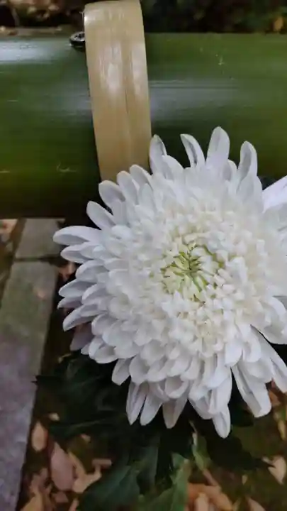 心行寺(神奈川県)