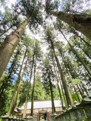 山宮浅間神社のその他建物