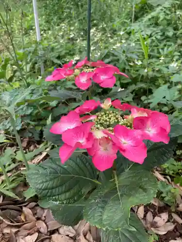 息栖神社の自然
