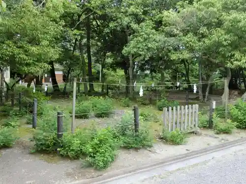 竈山神社の自然