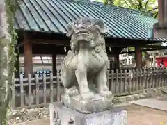 那古野神社の狛犬