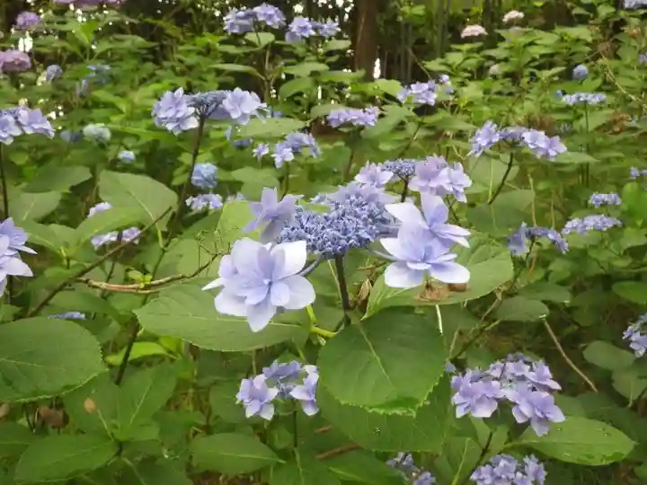 常盤神社(山口県)
