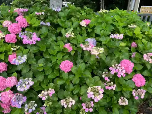 酒見神社(愛知県)