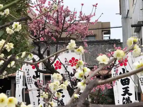 山田天満宮の自然