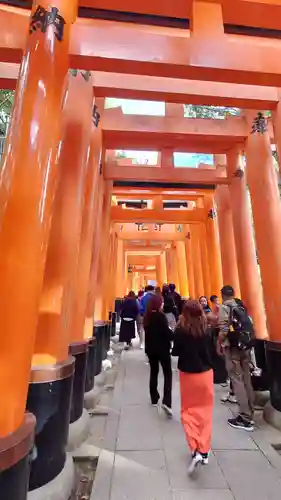 伏見稲荷大社(京都府)