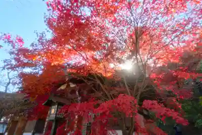 高幡不動尊　金剛寺(東京都)