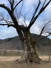 新宮八幡神社(兵庫県)