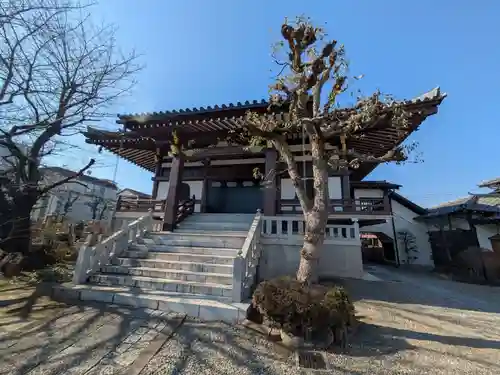 清源寺(東京都)