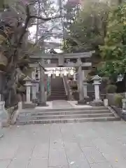 師岡熊野神社の鳥居