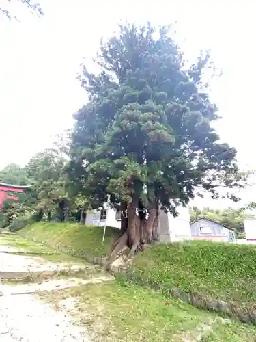 岩木山神社の自然