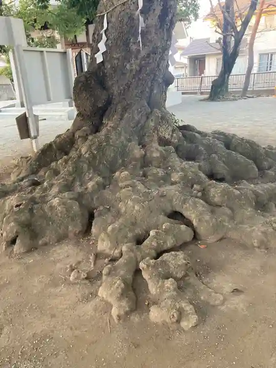 神明神社(神奈川県)