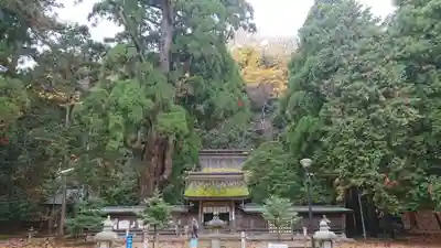 若狭姫神社（若狭彦神社下社）のその他建物