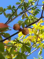 厚別神社(北海道)