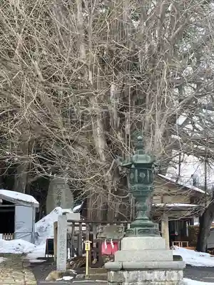 熊野大社(山形県)