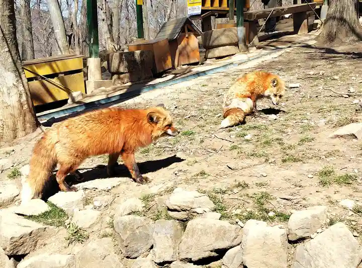 御金稲荷神社(宮城県)