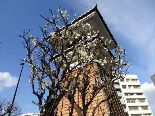 亀戸 香取神社の周辺