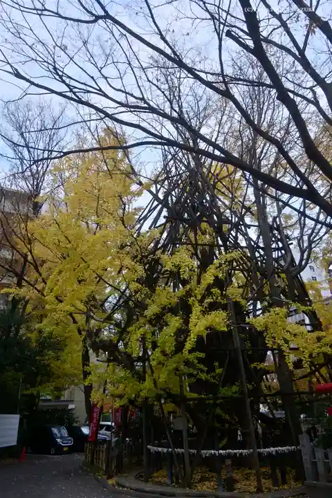 稲毛神社の自然