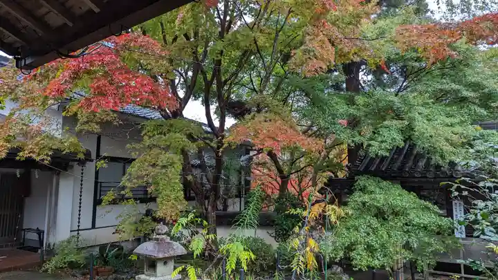 十輪寺(京都府)