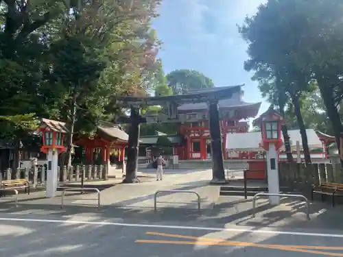 藤崎八旛宮(熊本県)