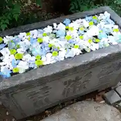 行田八幡神社の手水