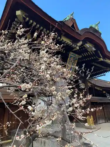 北野天満宮(京都府)