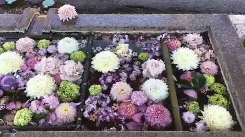 長野縣護國神社の手水舎